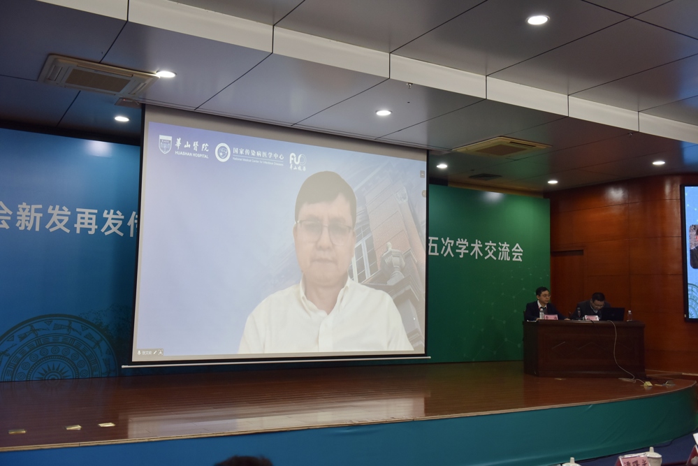 专家报告