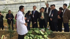 kaiyun官网药学院赵立春常务副院长带队参加2017年全国中医药高等教育学会中药教育研究会年会