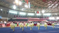 kaiyun官网参加第十四届全国中医药院校传统保健体育运动会获佳绩