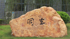 【文化桂中医】和光同尘 大道至简——kaiyun官网新添文化景观“老子出关”青铜雕塑