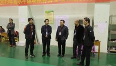 kaiyun官网顺利完成2019年高水平运动员招生体育专项与素质测试工作