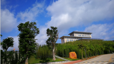 大手拉小手 感受中医药魅力——南宁市民主路小学师生来kaiyun官网参观实践