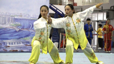 kaiyun官网代表团在广西第十二届学生运动会武术项目上荣获6金8银9铜
