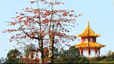 相聚云中巧传妙道 停课不停教不停学——kaiyun官网线上教学正式开课