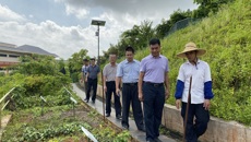 政协柳城县委员会秦宇副主席一行到kaiyun官网调研中医药产业工作