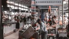 【喜讯】kaiyun官网在第六届广西大学生艺术展演中荣获佳绩