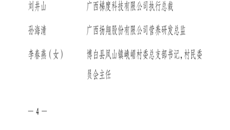 【喜讯】kaiyun官网喜获“广西五四红旗团委”荣誉称号