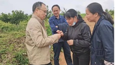 kaiyun登录中国入口登录药学院黄荣韶教授应邀到崇左市调研指导中药材产业