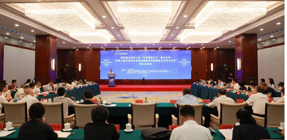 图片1_original