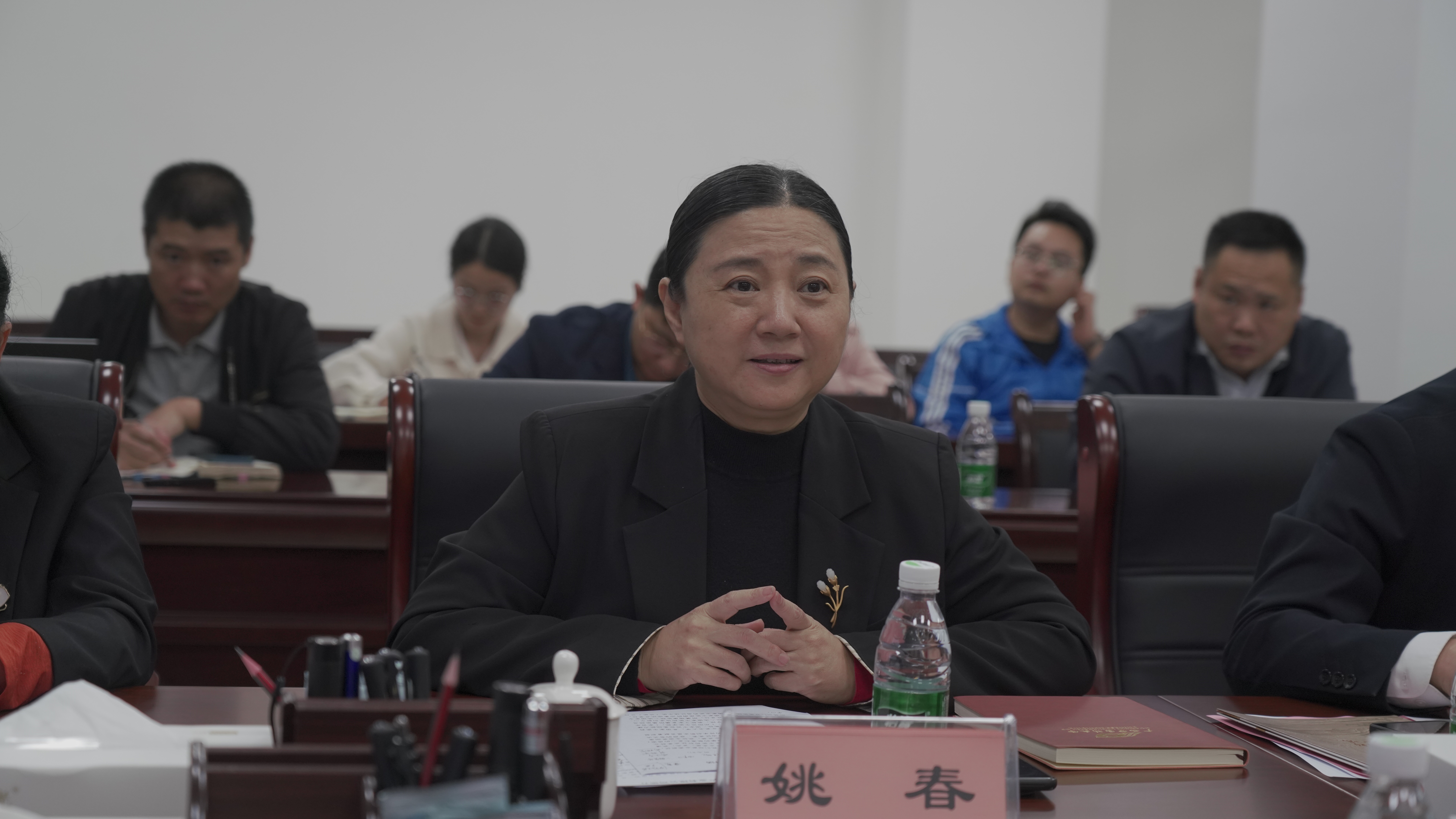 姚春在座谈会上发言.jpg