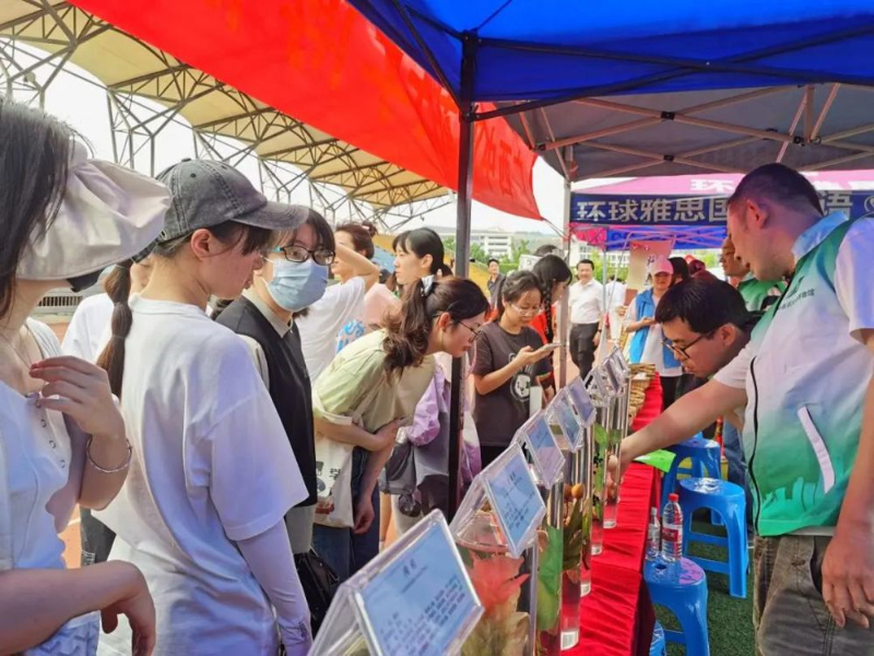 “壮族三月三”文化艺术节上的壮药展示。kaiyun登录中国入口登录供图