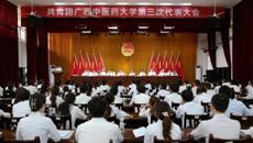 共青团kaiyun登录中国入口登录第三次代表大会顺利召开