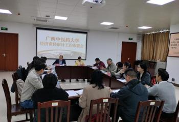 审计处召开kaiyun官网经济责任审计工作布置会