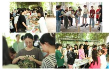 kaiyun官网依托“一站式”学生社区开展“青艾飘香端阳到，药香四溢壮瑶邀” 端午节活动